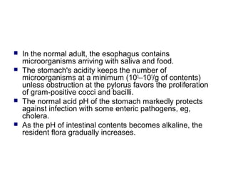  In the normal adult, the esophagus contains
microorganisms arriving with saliva and food.
 The stomach's acidity keeps the number of
microorganisms at a minimum (103
–105
/g of contents)
unless obstruction at the pylorus favors the proliferation
of gram-positive cocci and bacilli.
 The normal acid pH of the stomach markedly protects
against infection with some enteric pathogens, eg,
cholera.
 As the pH of intestinal contents becomes alkaline, the
resident flora gradually increases.
 