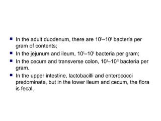  In the adult duodenum, there are 103
–106
bacteria per
gram of contents;
 In the jejunum and ileum, 105
–108
bacteria per gram;
 In the cecum and transverse colon, 108
–1010
bacteria per
gram.
 In the upper intestine, lactobacilli and enterococci
predominate, but in the lower ileum and cecum, the flora
is fecal.
 