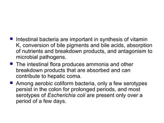  Intestinal bacteria are important in synthesis of vitamin
K, conversion of bile pigments and bile acids, absorption
of nutrients and breakdown products, and antagonism to
microbial pathogens.
 The intestinal flora produces ammonia and other
breakdown products that are absorbed and can
contribute to hepatic coma.
 Among aerobic coliform bacteria, only a few serotypes
persist in the colon for prolonged periods, and most
serotypes of Escherichia coli are present only over a
period of a few days.
 