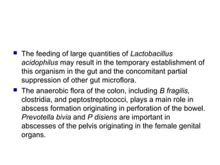  The feeding of large quantities of Lactobacillus
acidophilus may result in the temporary establishment of
this organism in the gut and the concomitant partial
suppression of other gut microflora.
 The anaerobic flora of the colon, including B fragilis,
clostridia, and peptostreptococci, plays a main role in
abscess formation originating in perforation of the bowel.
Prevotella bivia and P disiens are important in
abscesses of the pelvis originating in the female genital
organs.
 