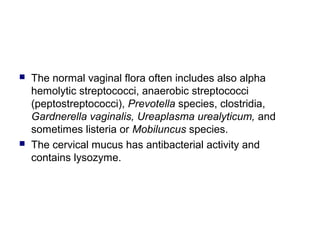  The normal vaginal flora often includes also alpha
hemolytic streptococci, anaerobic streptococci
(peptostreptococci), Prevotella species, clostridia,
Gardnerella vaginalis, Ureaplasma urealyticum, and
sometimes listeria or Mobiluncus species.
 The cervical mucus has antibacterial activity and
contains lysozyme.
 