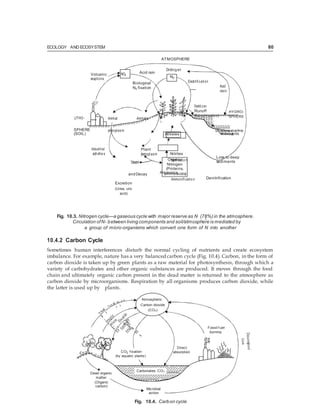 ECOLOGY AND ECOSYSTEM 80
Organic
Nitrogen
(Proteins,
aminoacids)
2
ATMOSPHERE
Volcanic
eruptions
NOX
Acid rain
Biological
N2 fixation
Dinitrog en
Electrification
Acid
rain
LITHO- Animal Animals
Fertilizer
Runoff
(Eutrophicatio n)
HYDRO-
SPHERE
SPHERE
(SOIL)
protoplasm Shallow marine
sediments
Industrial
activitie s
Death
Plant
protoplasm Nitrites
Nitrificatio n
Loss to deep
sediments
andDecay
Excretion
(Urea, uric
acid)
Ammonia
Ammonificatio n Denitrification
Fig. 10.3. Nitrogen cycle—a gaseous cycle with major reserve as N (78%) in the atmosphere.
Circulation ofN- between living components and soil/atmosphere is mediated by
a group of micro-organisms which convert one form of N into another
10.4.2 Carbon Cycle
Sometimes human interferences disturb the normal cycling of nutrients and create ecosystem
imbalance. For example, nature has a very balanced carbon cycle (Fig. 10.4). Carbon, in the form of
carbon dioxide is taken up by green plants as a raw material for photosynthesis, through which a
variety of carbohydrates and other organic substances are produced. It moves through the food
chain and ultimately organic carbon present in the dead matter is returned to the atmosphere as
carbon dioxide by microorganisms. Respiration by all organisms produces carbon dioxide, while
the latter is used up by plants.
Fig. 10.4. Carbon cycle
Atmospheric
Carbon dioxide
(CO2)
Fossil f uel
burning
CO2 f ixation
(by aquatic plants)
Direct
absorption
Dead organic
matter
(Organic
carbon)
Carbonates, CO2
Microbial
action
N2
Nitrates
 