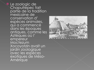 Le zoologic de Chapultepec fait partie de la tradition mexicaine de  conservation d’ espèces animales, qui a commencé dans les époques antiques, comme les Aztèques où l’ empereur  Moctezum Xocoyotzin avait un jardin zoologique avec les espèces exotiques de  Méso-Amérique 