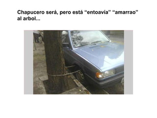 Chapucero será, pero está “entoavía” “amarrao” al arbol... 