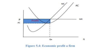 Economics: chapter four Market Structure | PPTX