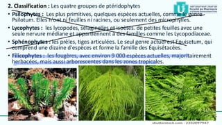 Comprehensive Study of Pteridophytes: Anatomy, Reproduction, and ...
