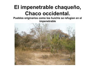 El impenetrable chaqueño,
Chaco occidental.
Pueblos originarios como los huichis se refugian en el
impenetrable