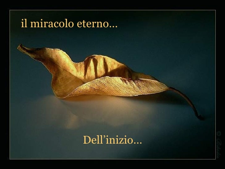 Il dono della vita