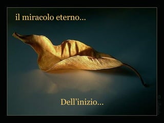 il miracolo eterno…




            Dell’inizio…
 