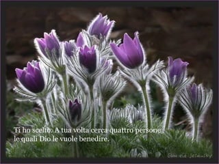 Ti ho scelto. A tua volta cerca quattro persone
le quali Dio le vuole benedire.
 