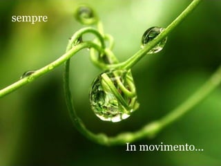 sempre




         In movimento...
 