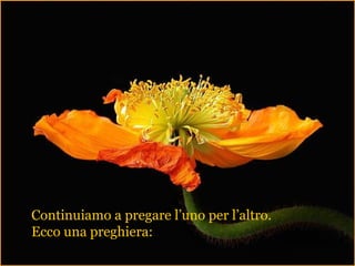 Continuiamo a pregare l’uno per l’altro.
Ecco una preghiera:
 