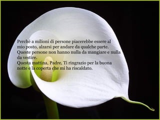 Perché a milioni di persone piacerebbe essere al
mio posto, alzarsi per andare da qualche parte.
Queste persone non hanno nulla da mangiare e nulla
da vestire.
Questa mattina, Padre, Ti ringrazio per la buona
notte e la coperta che mi ha riscaldato.
 