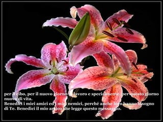 per il cibo, per il nuovo giorno di lavoro e specialmente, per questo giorno
nuovo di vita.
Benedici i miei amici ed i miei nemici, perché anche loro hanno bisogno
di Te. Benedici il mio amico che legge questo messaggio.
 