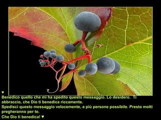 ♥
Benedico quello che mi ha spedito questo messaggio. Lo desidero. Ti
abbraccio, che Dio ti benedica riccamente.
Spedisci questo messaggio velocemente, a più persone possibile. Presto molti
pregheranno per te.
Che Dio ti benedica! ♥
 