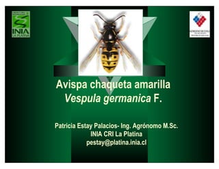 Avispa chaqueta amarilla
Vespula germanica F.
Patricia Estay Palacios- Ing. Agrónomo M.Sc.
INIA CRI La Platina
pestay@platina.inia.cl
 