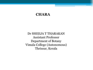 CHARA
Dr SHEEJA T THARAKAN
Assistant Professor
Department of Botany
Vimala College (Autonomous)
Thrissur, Kerala
 