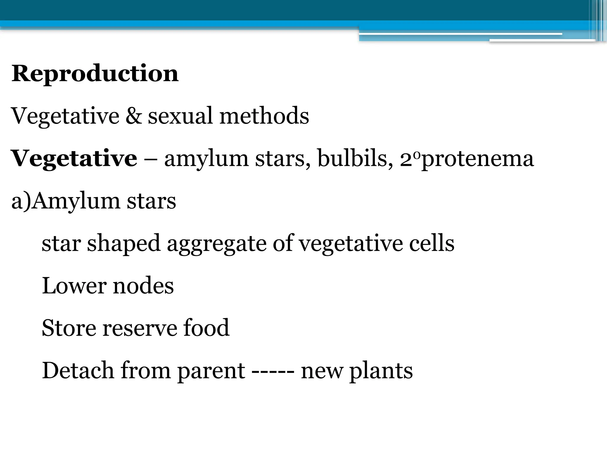 Reproduction
Vegetative & sexual methods
Vegetative – amylum stars, bulbils, 20
protenema
a)Amylum stars
star shaped aggregate of vegetative cells
Lower nodes
Store reserve food
Detach from parent ----- new plants
 