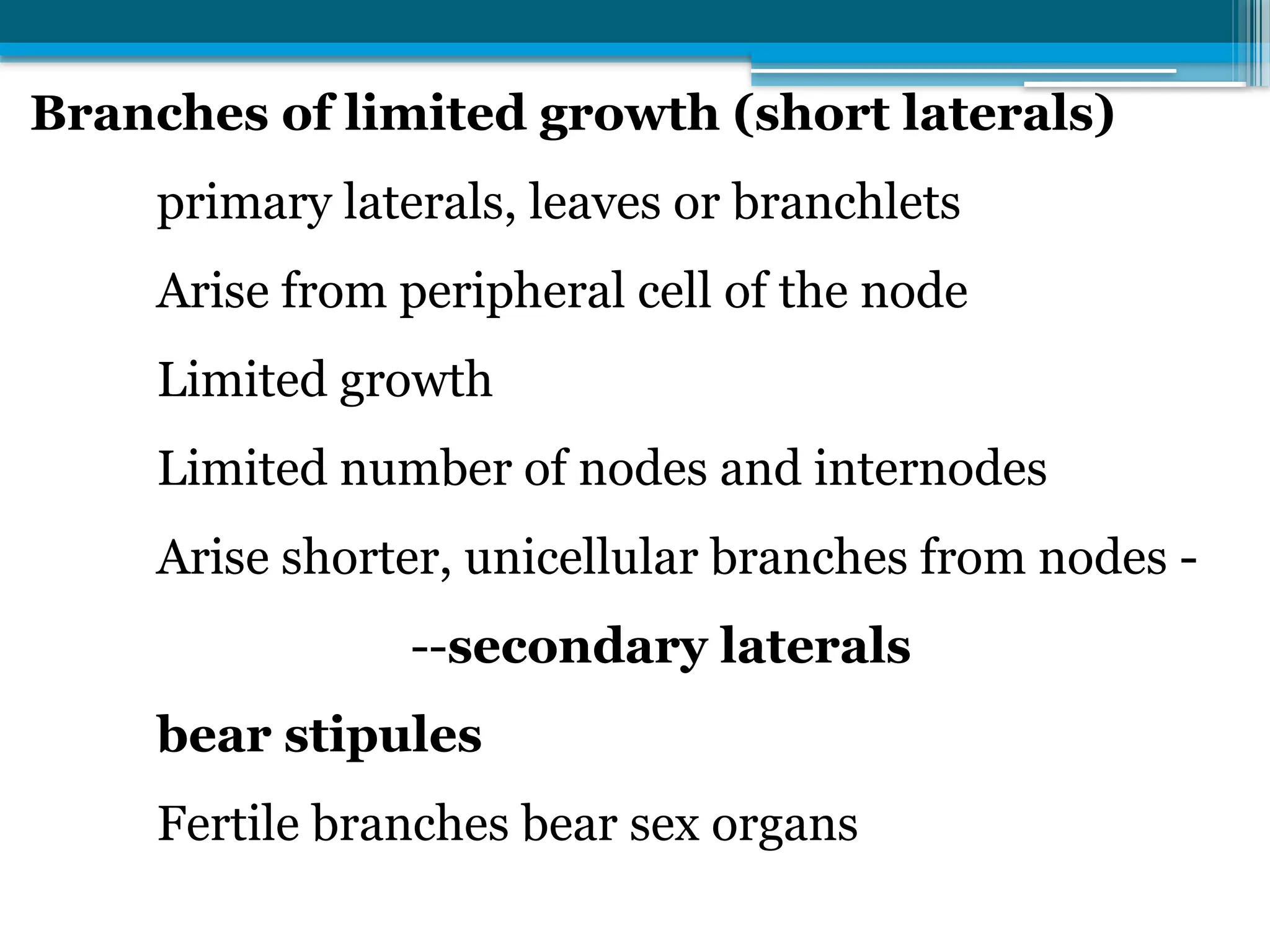 Branches of limited growth (short laterals)
primary laterals, leaves or branchlets
Arise from peripheral cell of the node
Limited growth
Limited number of nodes and internodes
Arise shorter, unicellular branches from nodes -
--secondary laterals
bear stipules
Fertile branches bear sex organs
 