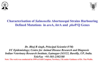 Characterisation of Salmonella Abortusequi Strains Harbouring
Defined Mutations in aroA, htrA and phoP/Q Genes
Dr. Bhoj R singh, Principal Scientist (VM)
I/C Epidemiology; Centre for Animal Disease Research and Diagnosis
Indian Veterinary Research Institute, Izatnagar-243122, Bareilly, UP, India.
TeleFax +91-581-2302188
Note: The work was conducted in 1999 at IAH Compton, Newbury, UK under Guidance of Dr. Tim Wallis.
 