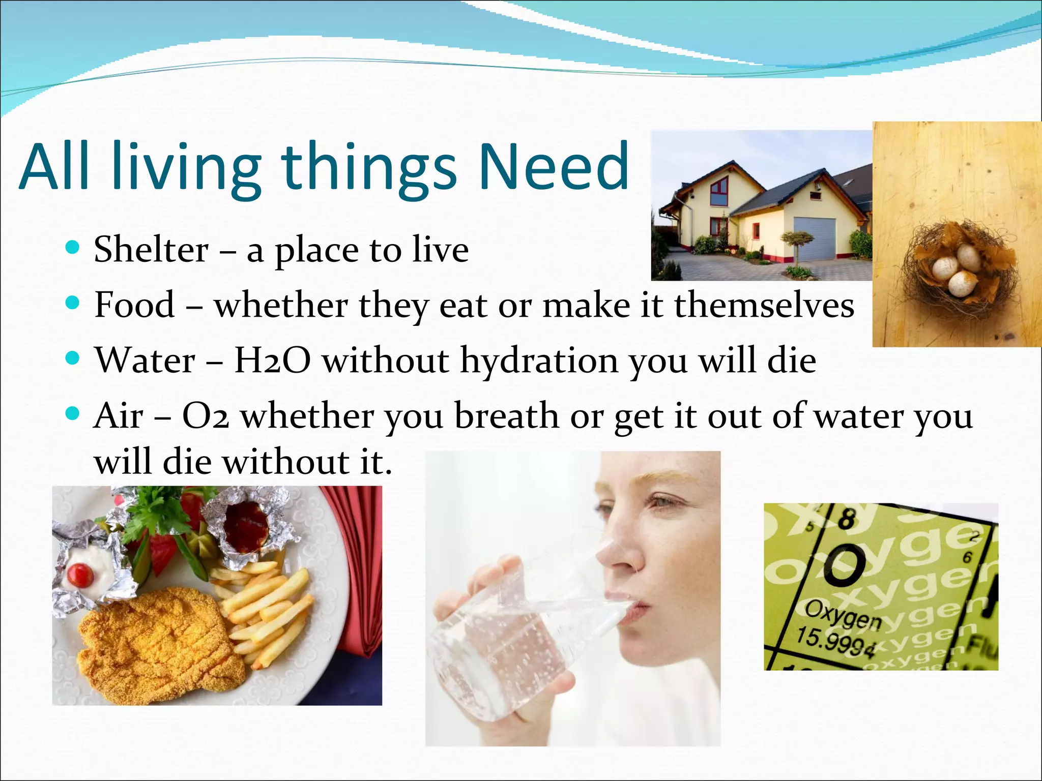 Characterisitcs of life