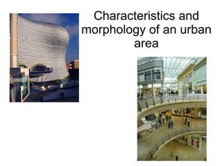 Characteristics and morphology of an urban area 