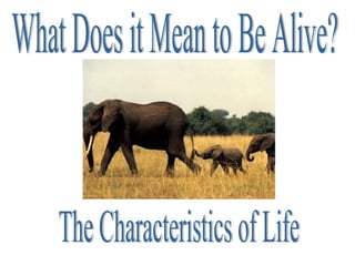 What Does it Mean to Be Alive? The Characteristics of Life 