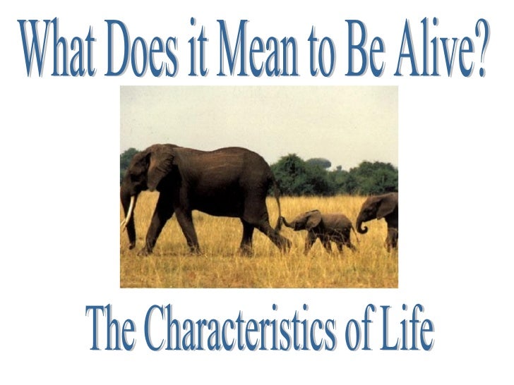 Worksheets Characteristics Of Life Worksheet characteristics of life the life