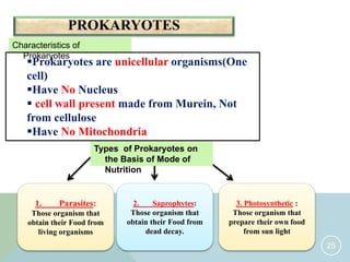 Characteristics and classification of living organisms igcse o level ...