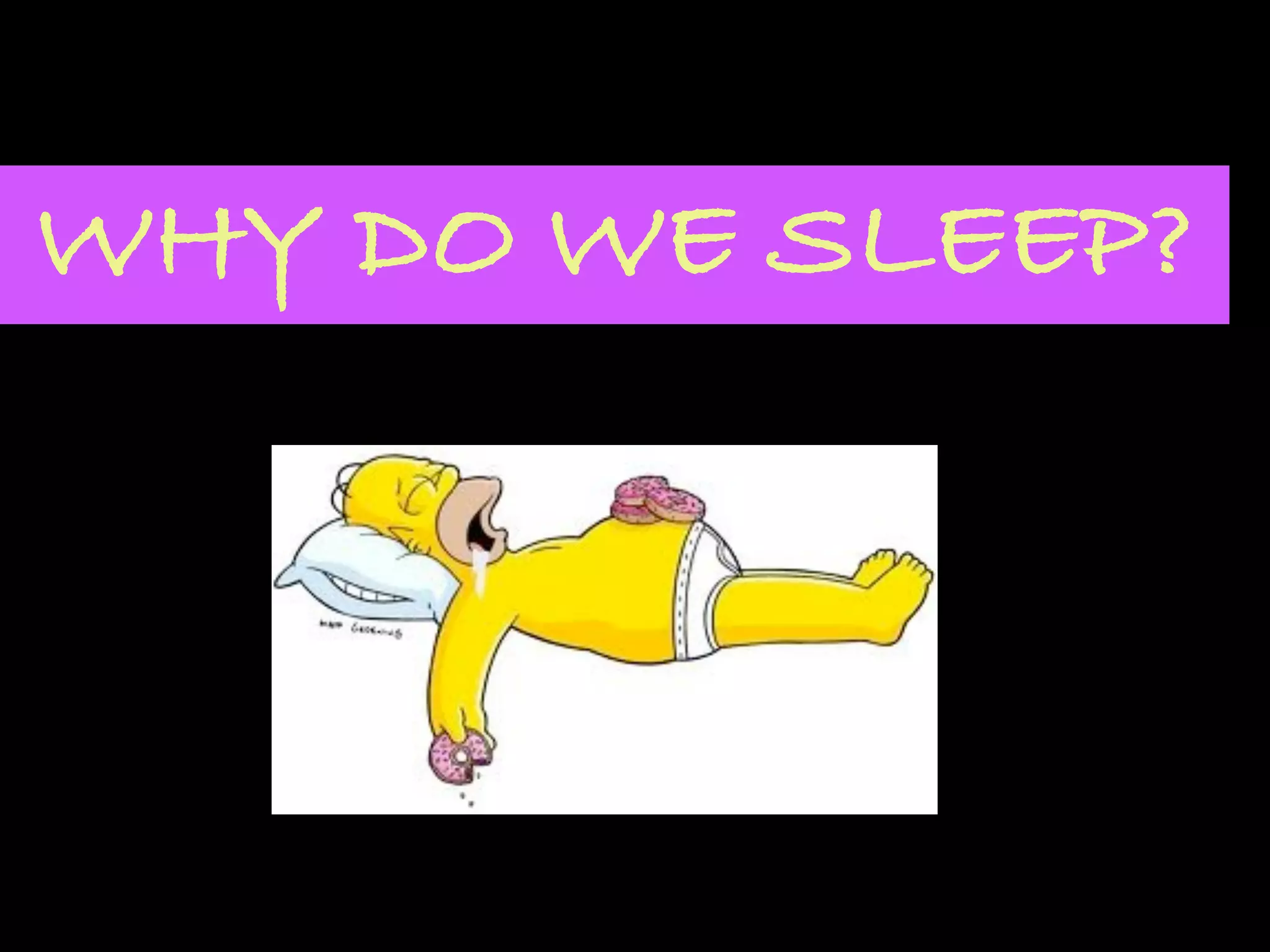 WHY DO WE SLEEP?
 