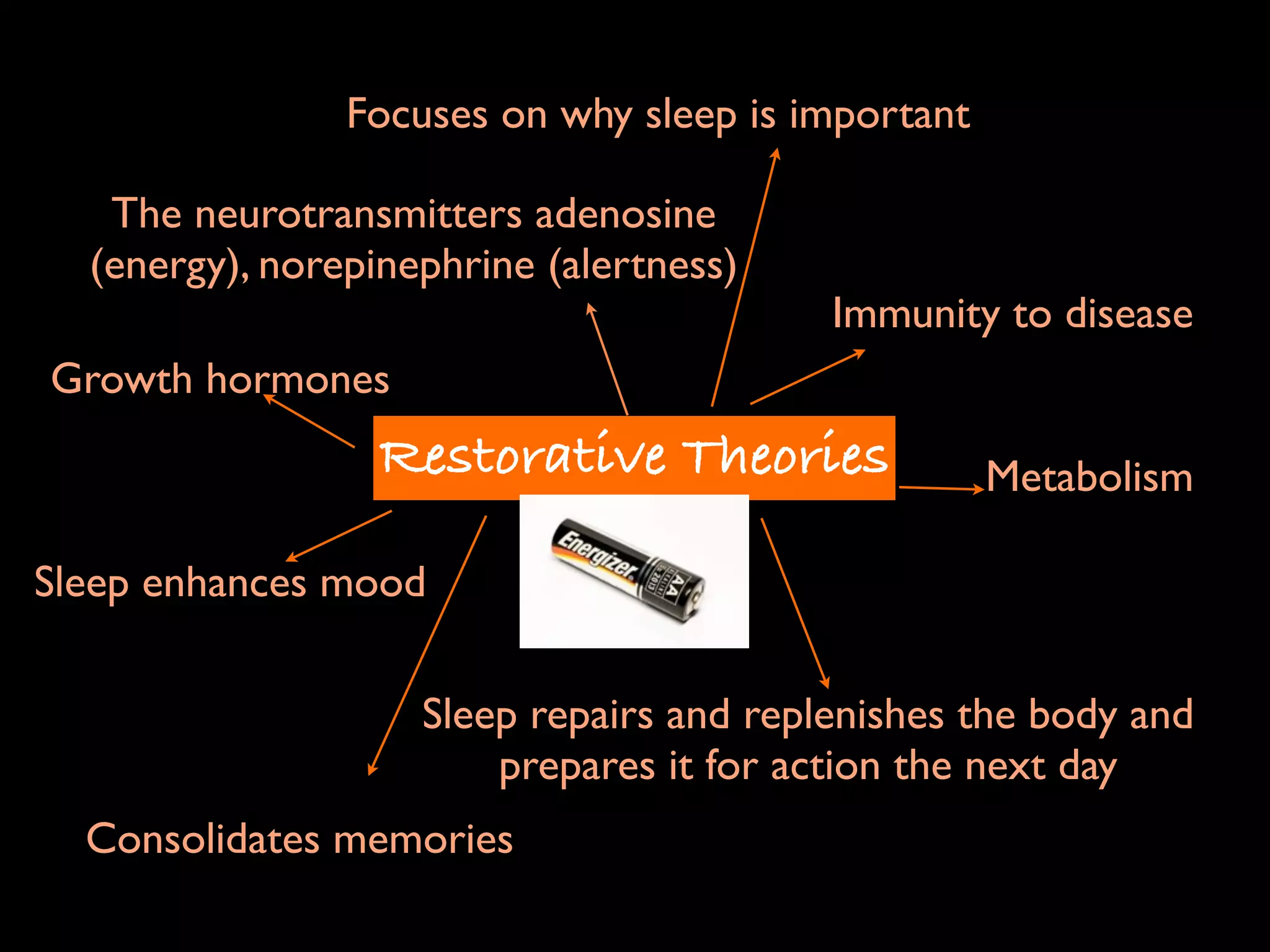 Focuses on why sleep is important

   The neurotransmitters adenosine
  (energy), norepinephrine (alertness)
                                          Immunity to disease
Growth hormones
                  Restorative Theories              Metabolism

Sleep enhances mood

                    Sleep repairs and replenishes the body and
                        prepares it for action the next day
  Consolidates memories
 