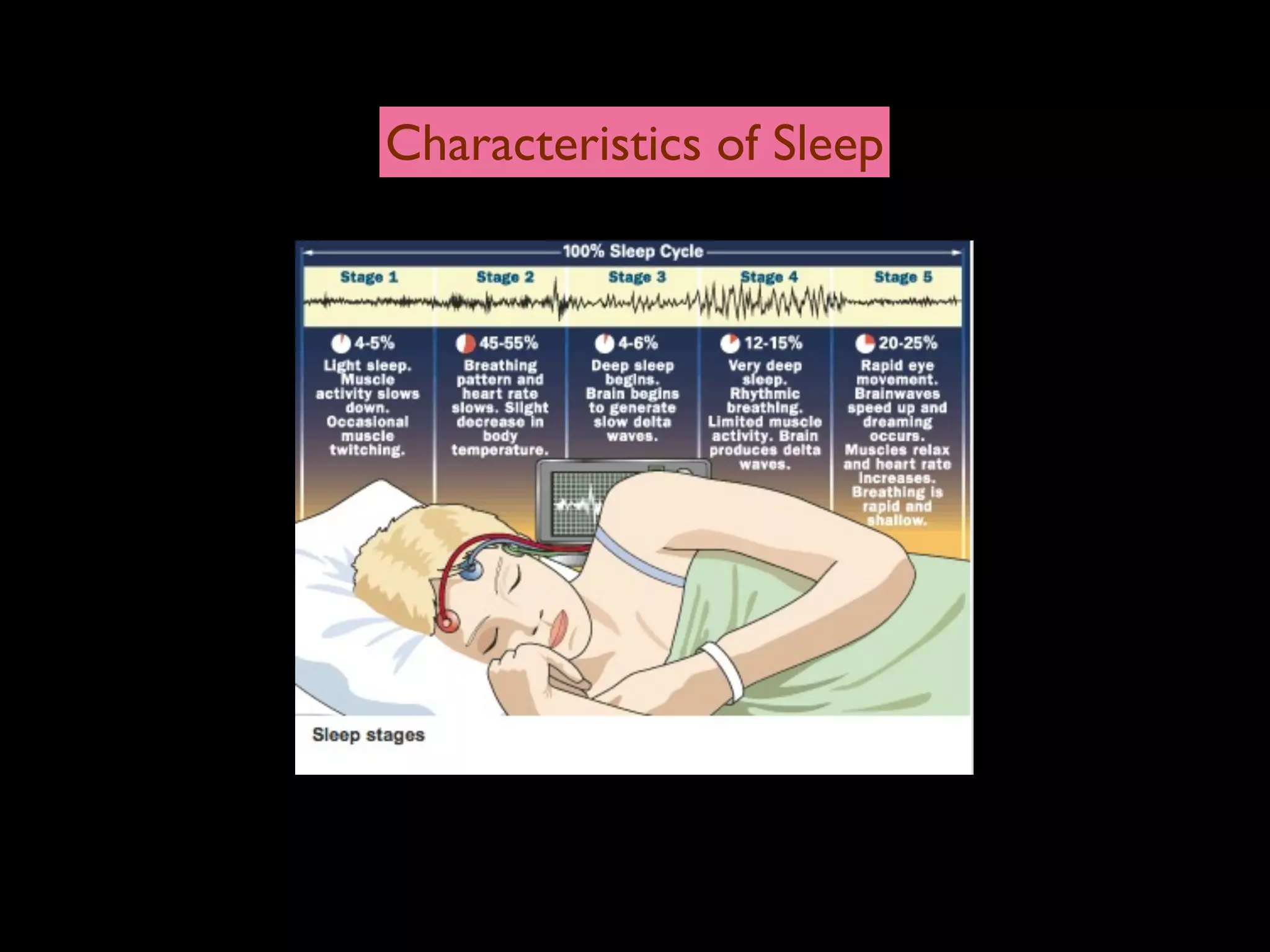 Characteristics of Sleep
 