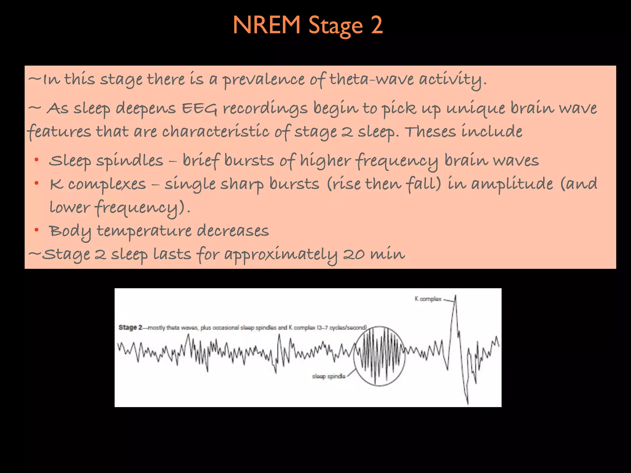 NREM Stage 2
~In this stage there is a prevalence of theta-wave activity.
~ As sleep deepens EEG recordings begin to pick up unique brain wave
features that are characteristic of stage 2 sleep. Theses include
• Sleep spindles – brief bursts of higher frequency brain waves
• K complexes – single sharp bursts (rise then fall) in amplitude (and
  lower frequency).
• Body temperature decreases
~Stage 2 sleep lasts for approximately 20 min
 