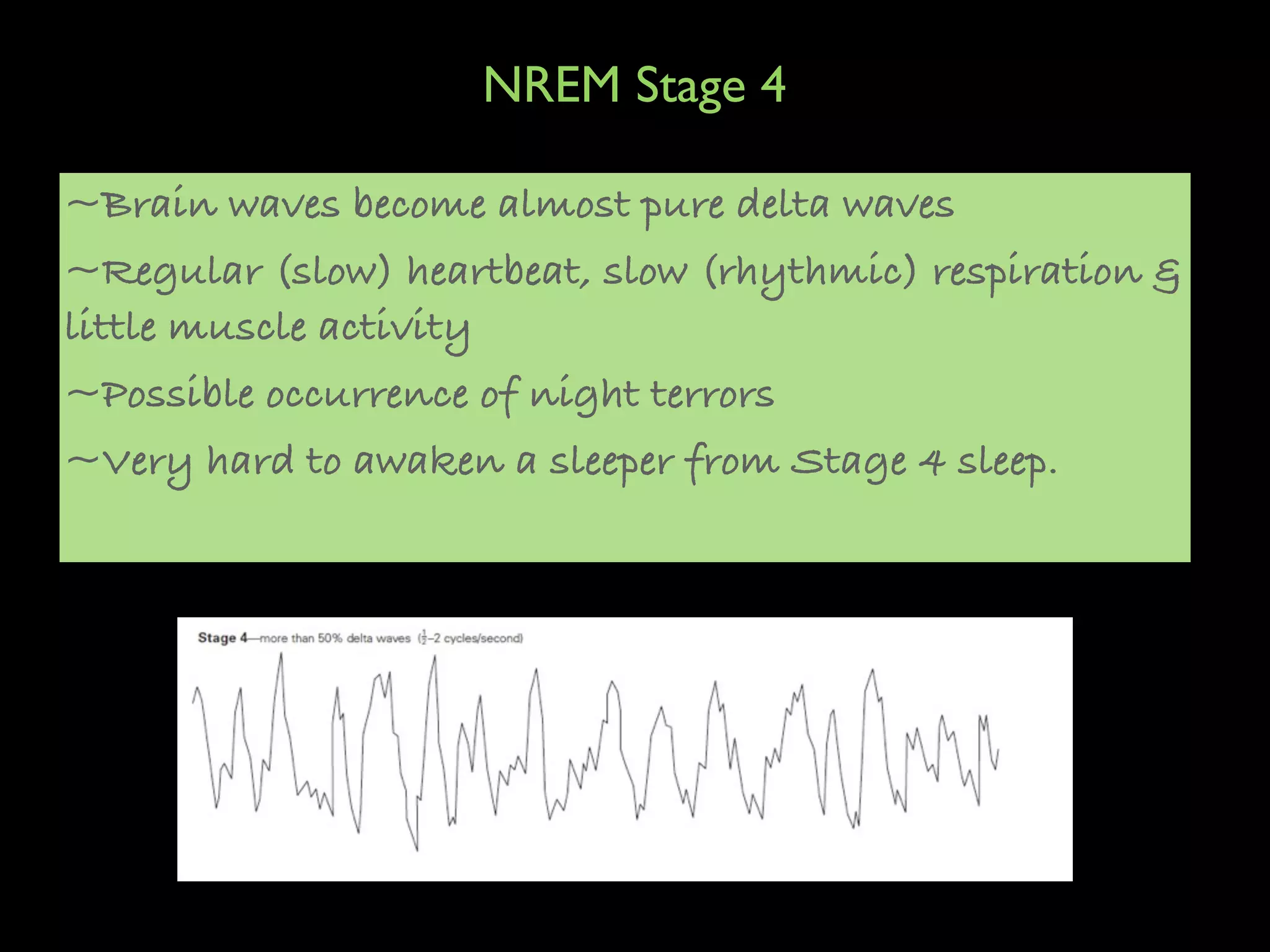 NREM Stage 4

~Brain waves become almost pure delta waves
~Regular (slow) heartbeat, slow (rhythmic) respiration &
little muscle activity
~Possible occurrence of night terrors
~Very hard to awaken a sleeper from Stage 4 sleep.
 