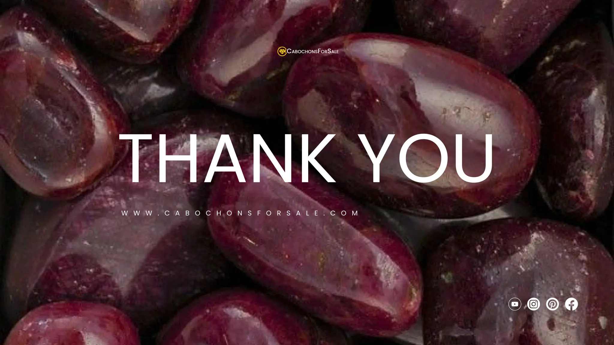 THANK YOU
W W W . C A B O C H O N S F O R S A L E . C O M
 