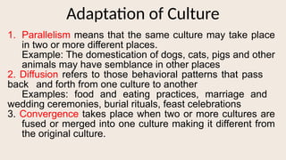 Semblance Example CHARACTERISTICS of humansOF-SOCIETY.pptx