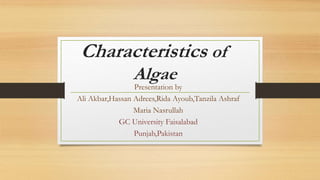 Characteristics of
Algae
Presentation by
Ali Akbar,Hassan Adrees,Rida Ayoub,Tanzila Ashraf
Maria Nasrullah
GC University Faisalabad
Punjab,Pakistan
 