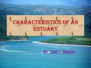CHARACTERISTICS OF AN
     ESTUARY



         BY: JANET C. BESAGAS
 