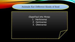 Characteristics of animals