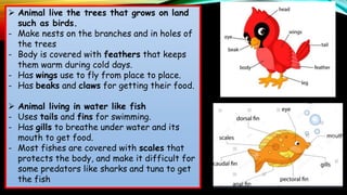 Characteristics of animals