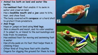 Characteristics of animals