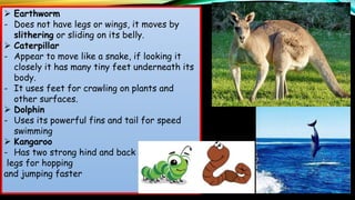 Characteristics of animals