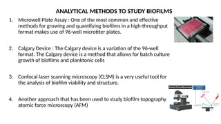 Characteristics of Bacterial Biofilm(Edited) [Autosaved].pptx