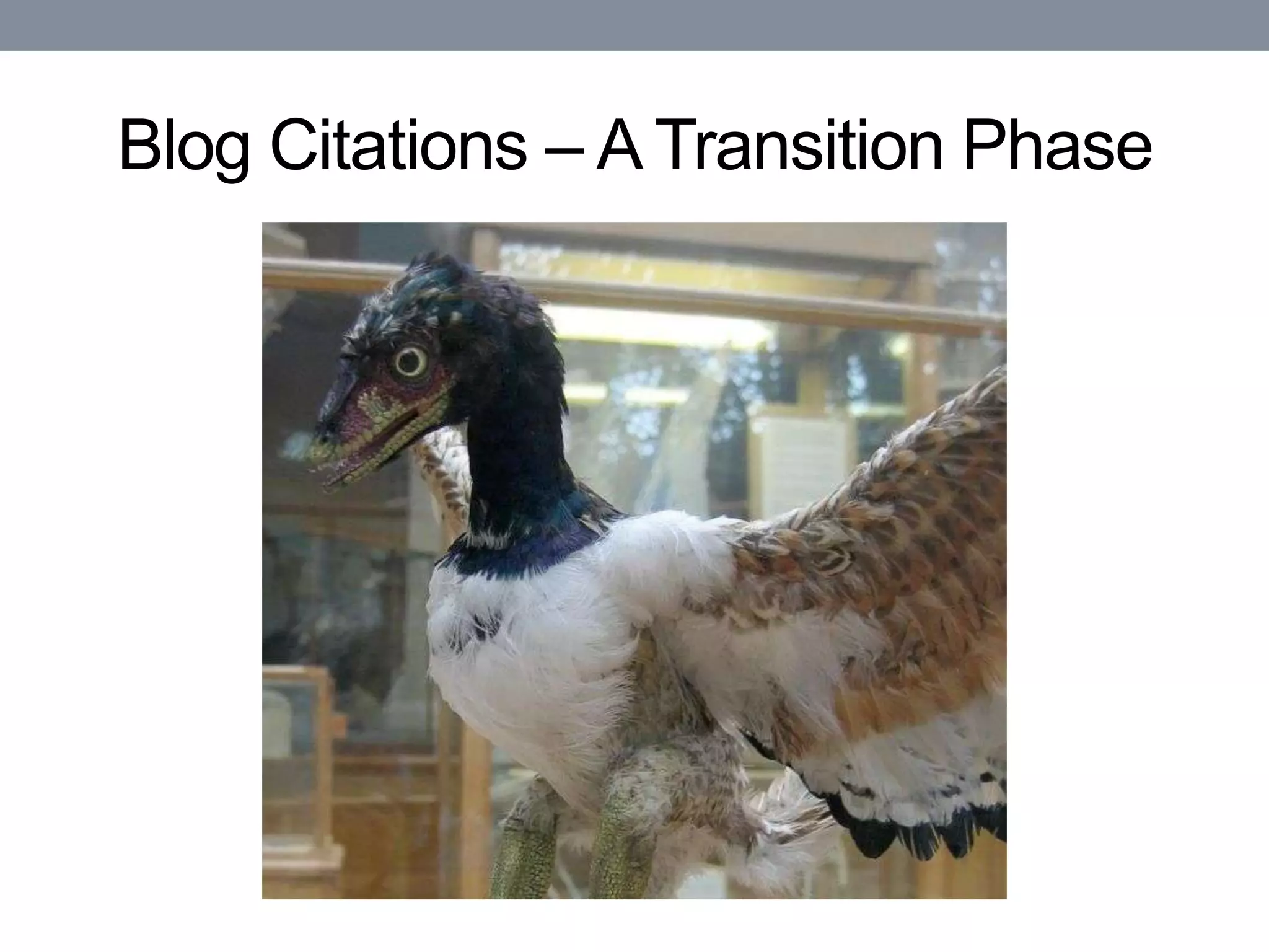 Blog Citations – A Transition Phase
 