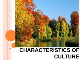 CHARACTERISTICS OF
CULTURE

 