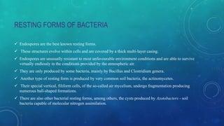 Rest Bacteria ENVIRONMENTAL MICROFLORA | PPTX