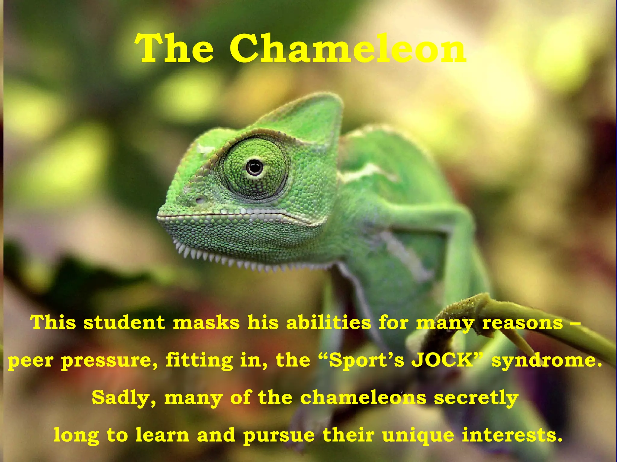 The Chameleon This student masks his abilities for many reasons –  peer pressure, fitting in, the “Sport’s JOCK” syndrome.  Sadly, many of the chameleons secretly  long to learn and pursue their unique interests. 