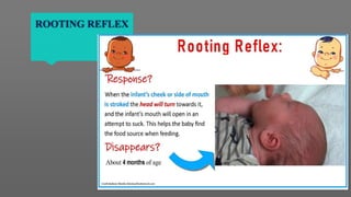 Characteristics of a Healthy Newborn | PPTX