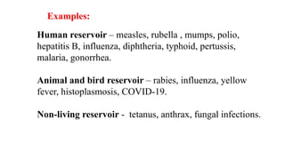 Pollio Examples Characteristics of Infectious Diseases.pptx