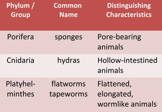 Phylum /
Group
Common
Name
Distinguishing
Characteristics
Porifera sponges Pore-bearing
animals
Cnidaria hydras Hollow-intestined
animals
Platyhel-
minthes
flatworms
tapeworms
Flattened,
elongated,
wormlike animals
 